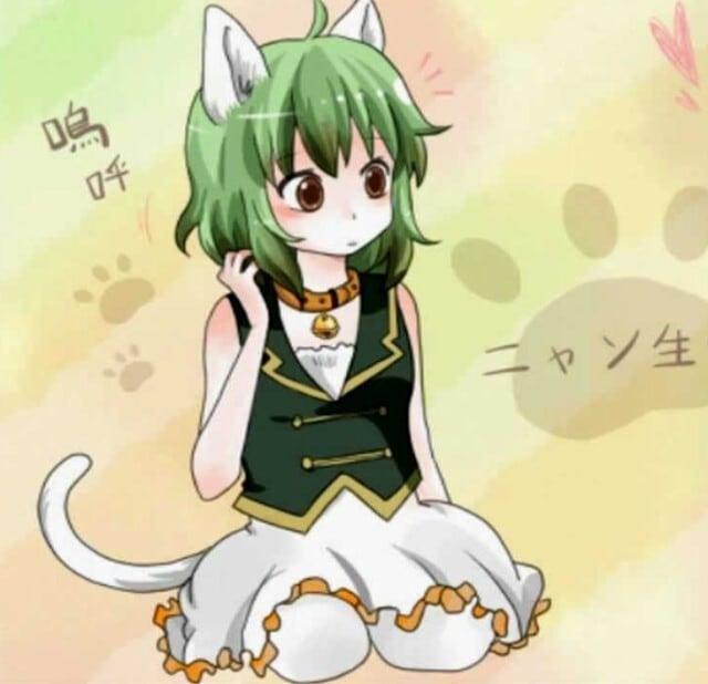 Vocaloid 嗚呼、素晴らしきニャン生 GUMI コスチューム、コスプレ コスプレ衣装+鈴付きの首輪+猫耳+猫の尻尾+靴下+ウィッグ Vocaloid 嗚呼、素晴らしきニャン生 GUMI コスプレ衣装+鈴付きの首輪+