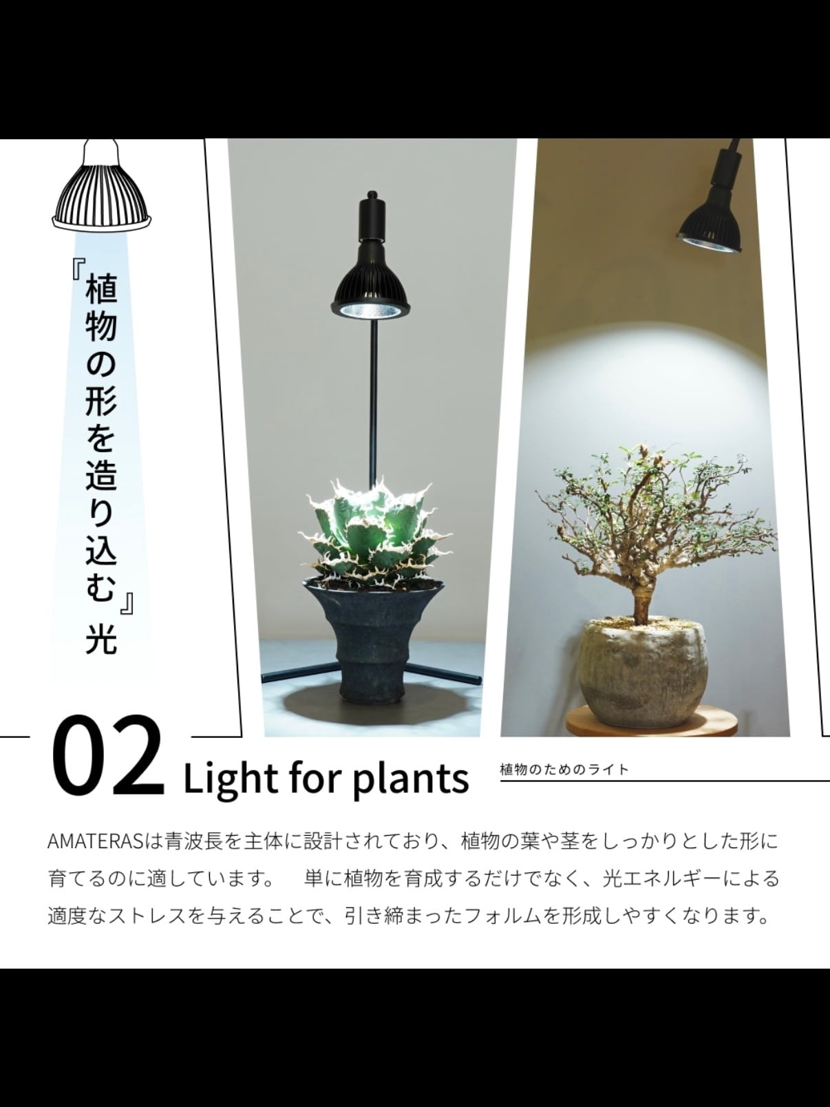 NEO AMATERAS LED 20W | trigger