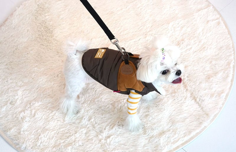 【SALE】スウェードハーネスダウンベスト S ~ 2XL 2color  /  犬服 防寒 犬 散歩 お出かけ 洋服型ハーネス アウター 暖かい 小型犬 中型犬 大型犬 outer15