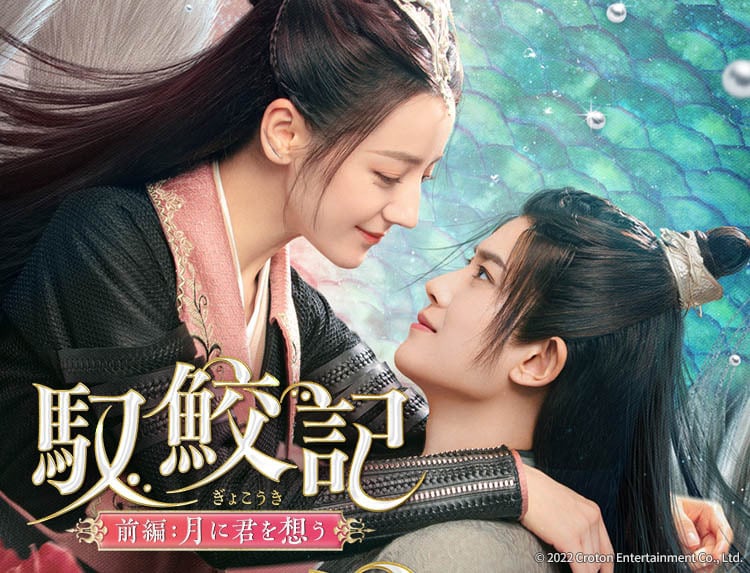 中国ドラマ 雪花咲く君を想う 全13巻 | Pay ID