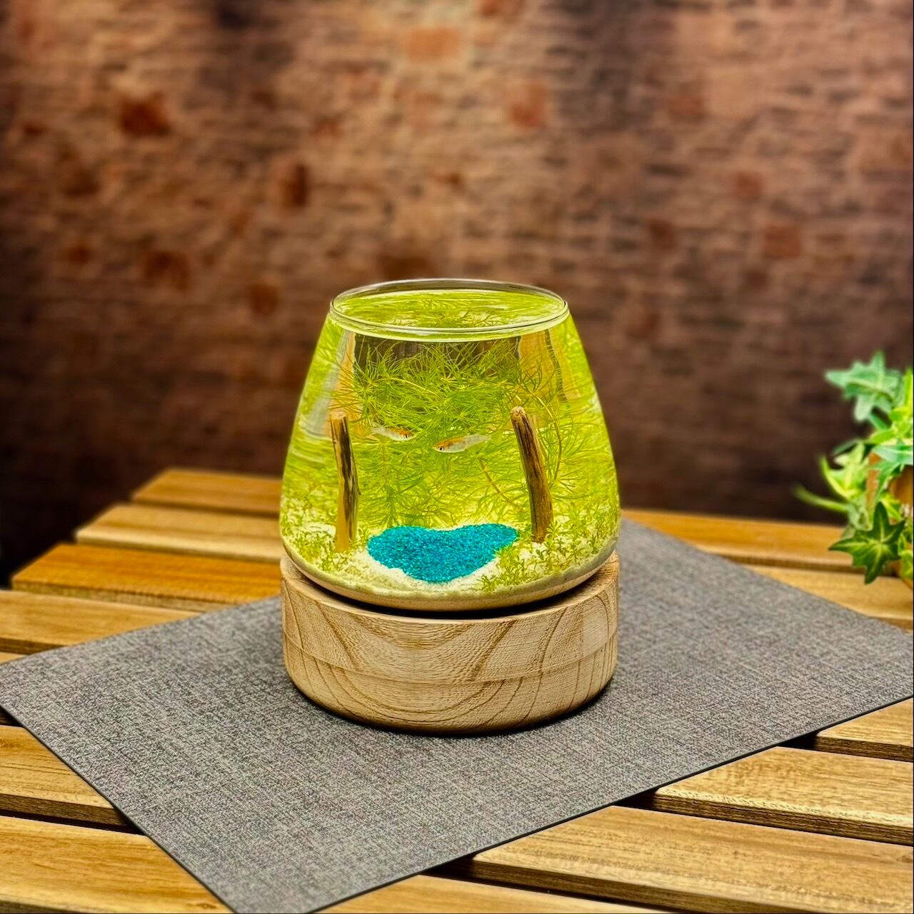 アクアヒーリングアート 809d2777757062c60ffc0e89d79e97