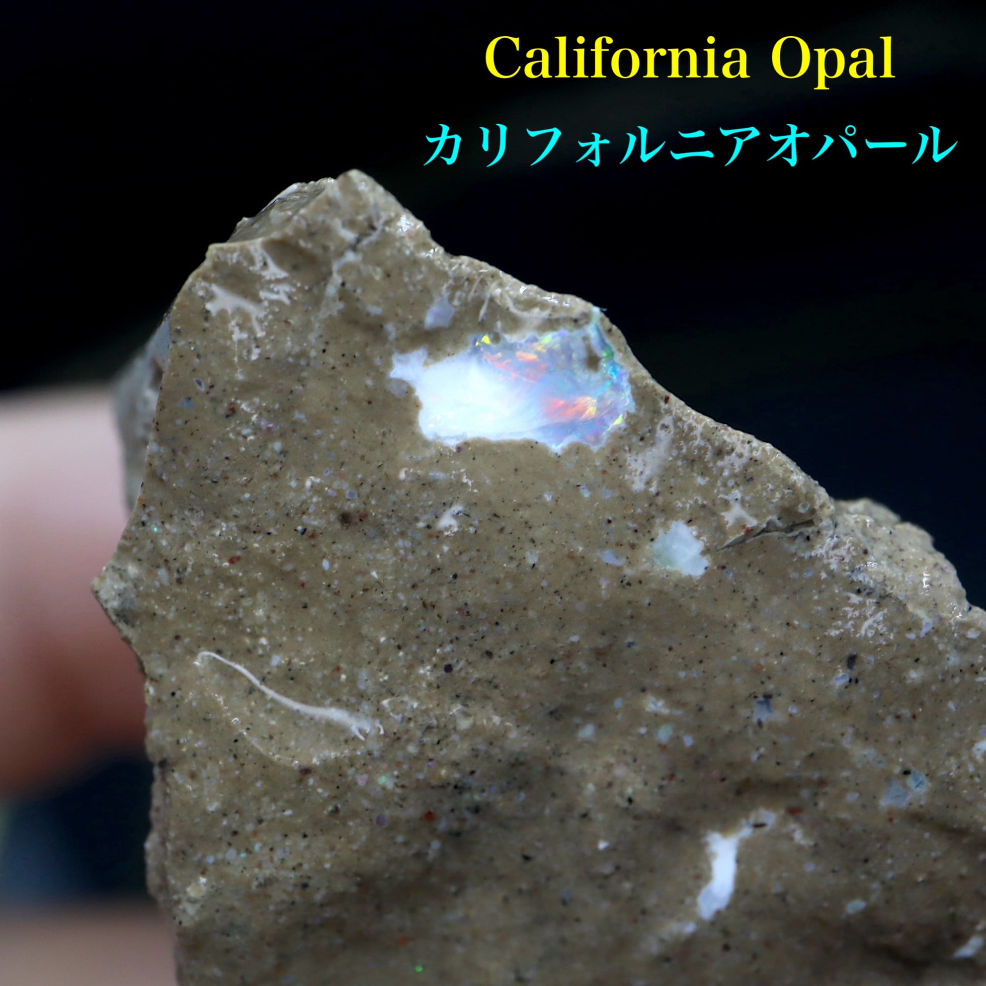 大粒】オパール 原石 シェルオパール 3.3cm | www.issmi.com.au