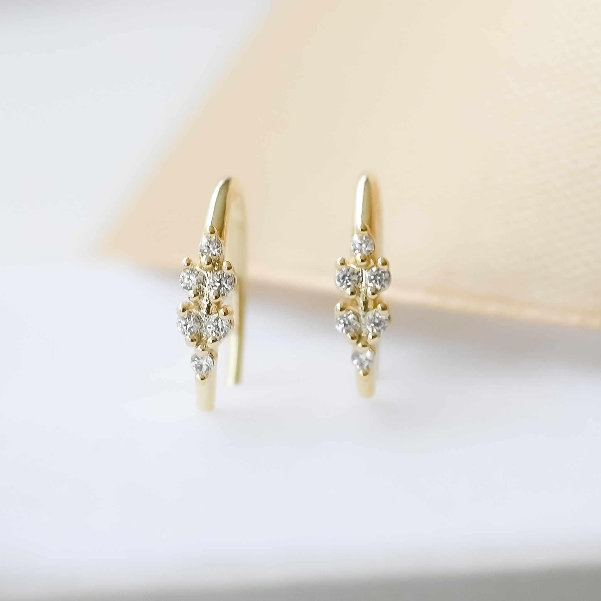 Zirconia-Studded Leaf Hook ピアス