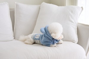 即納 【mabellefifi】ポグルフードケープ  blue