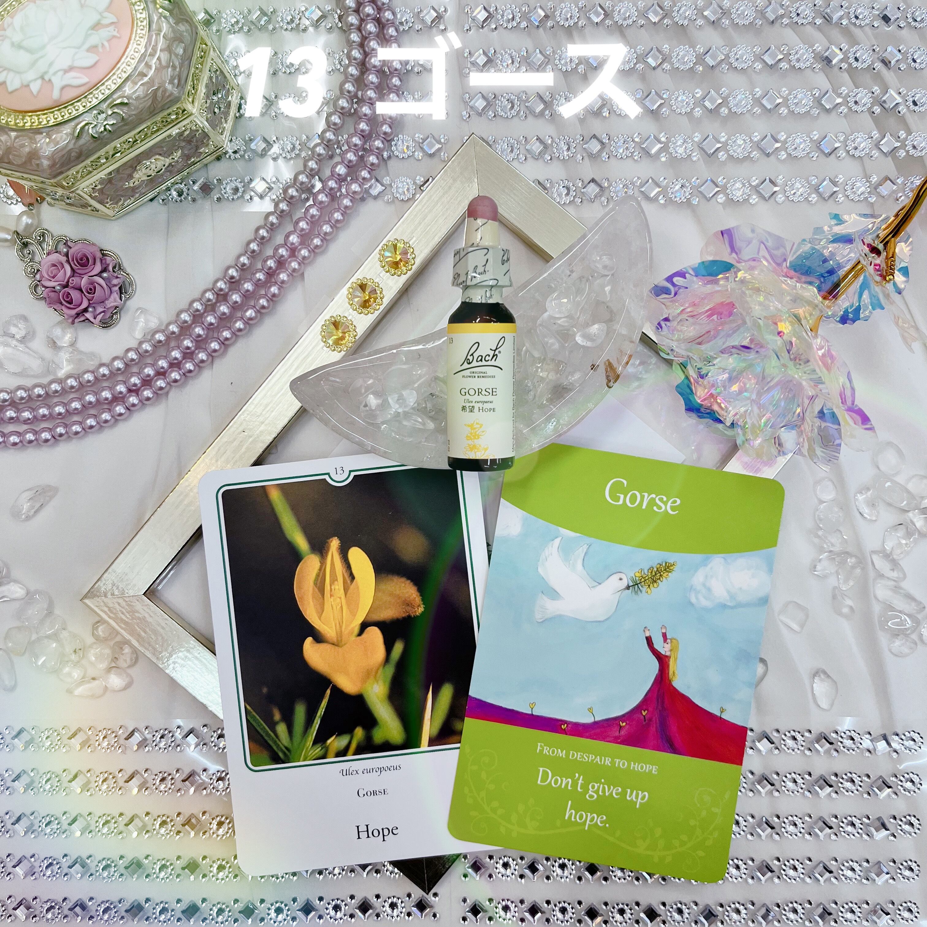 選べてお得なバッチフラワーレメディ 4本セット フラワーエッセンス