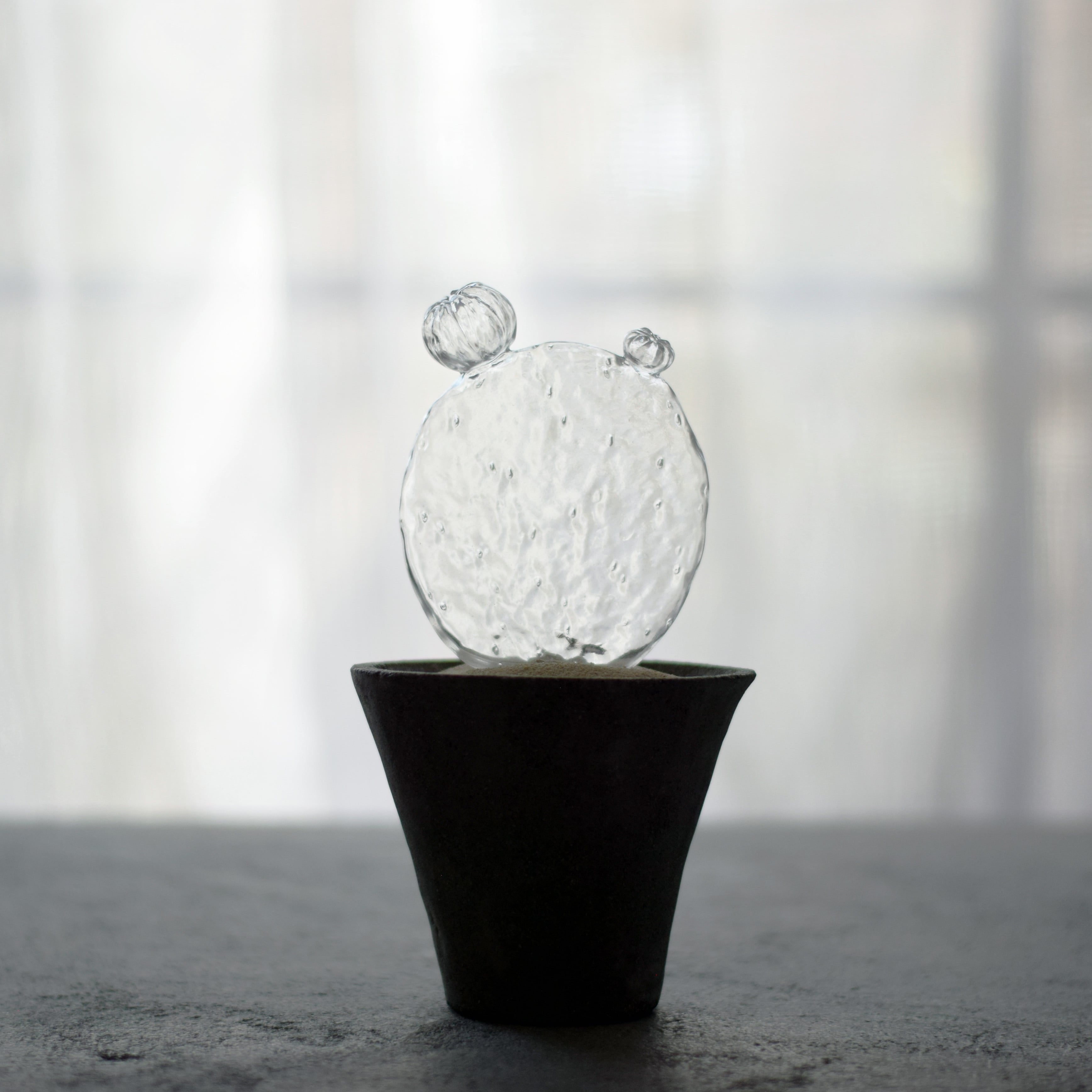 透明サボテン 008 c | Sabotensi