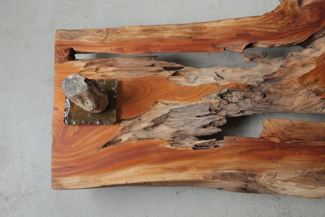 欅　Zelkova