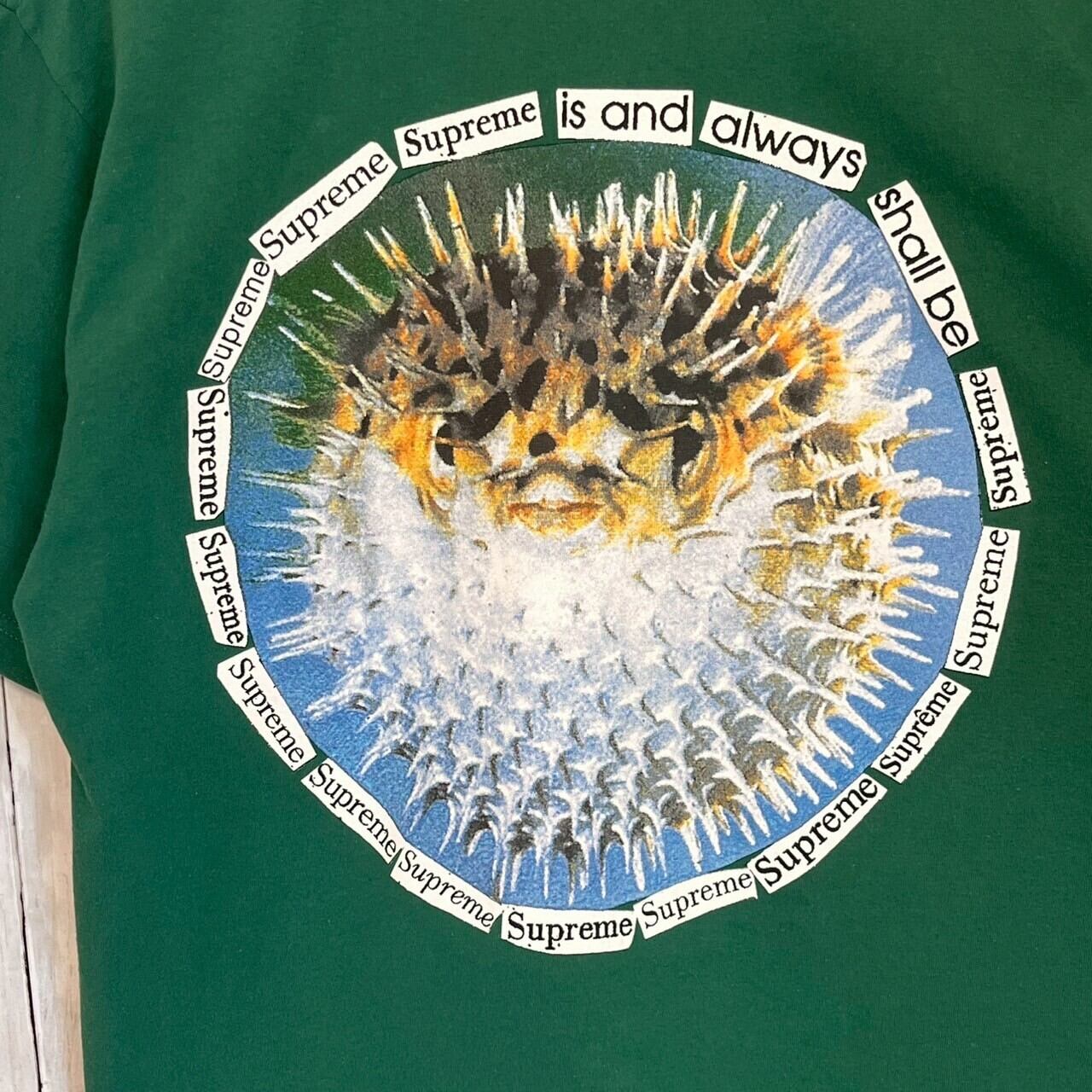 supreme シュプリーム Tシャツ バックロゴ プリント ハリセンボン supreme シュプリーム Tシャツ バックロゴ プリント ハリセンボン
