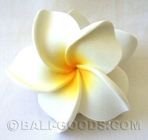 Baliさんせ 31bwb088q.jpg