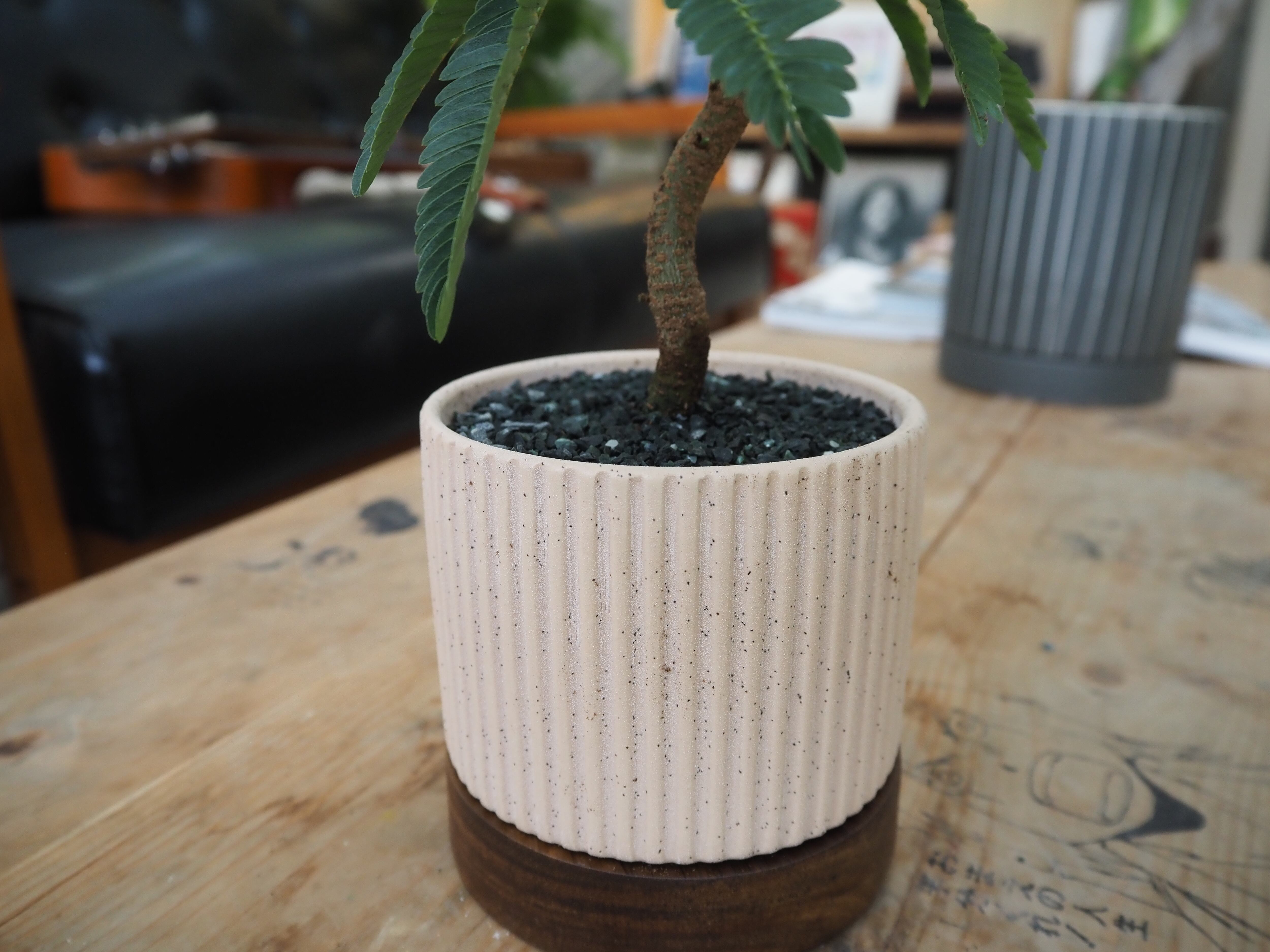 3色展開】【現品】盆栽風エバーフレッシュ 鉢セット【陶器鉢】 | 高橋園芸