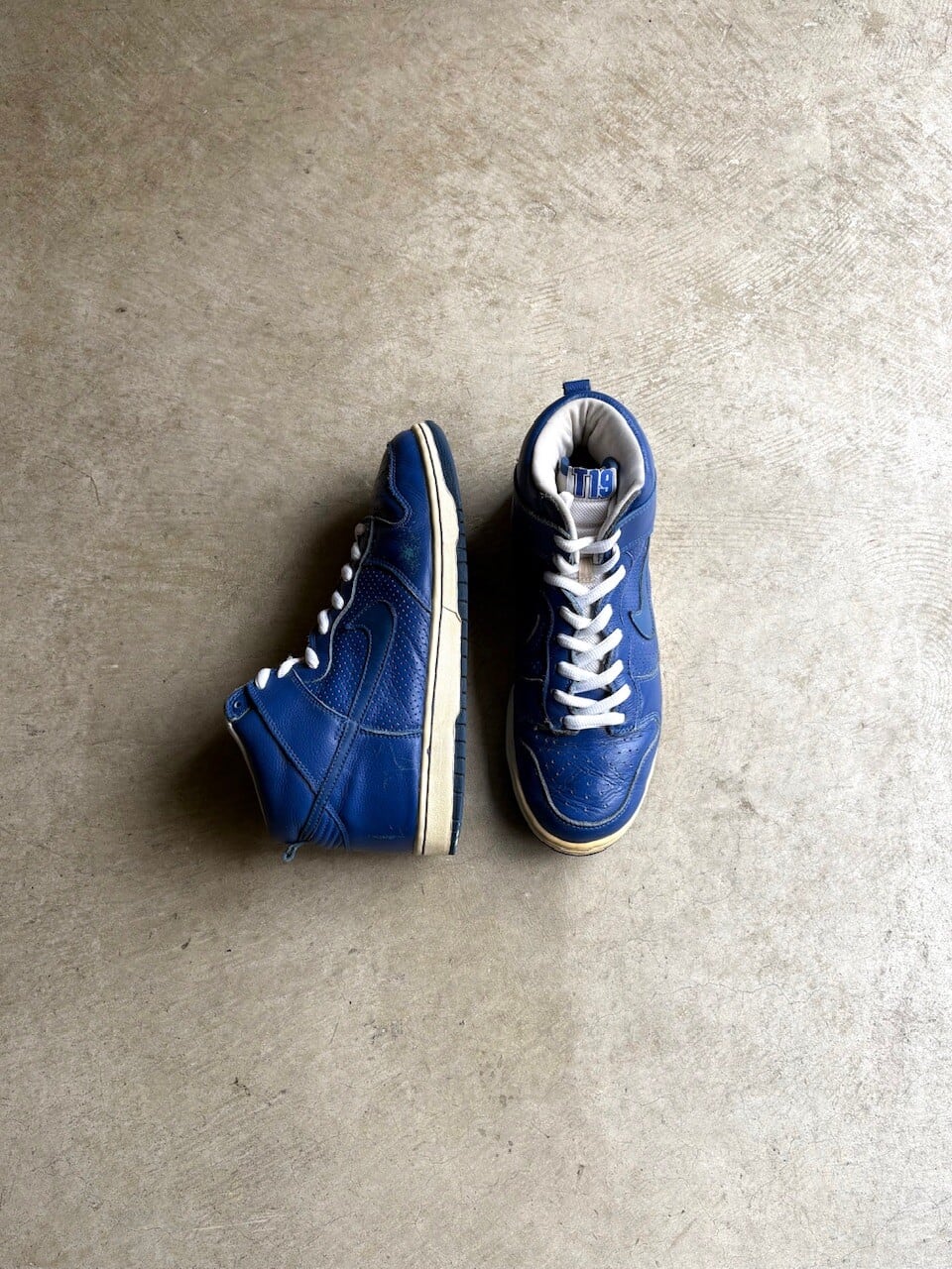 04年製 NIKE DUNK HIGH PRO SB "T19"