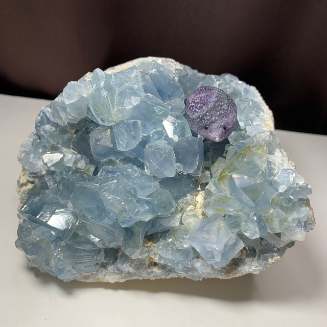 8.色合い綺麗✩セレスタイトに住み着いているフローライトハリネズミさん