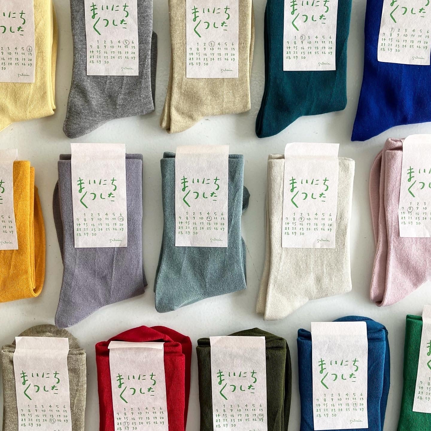 サルビア まいにちくつした