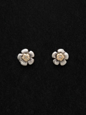 Harmony Stud Earrings