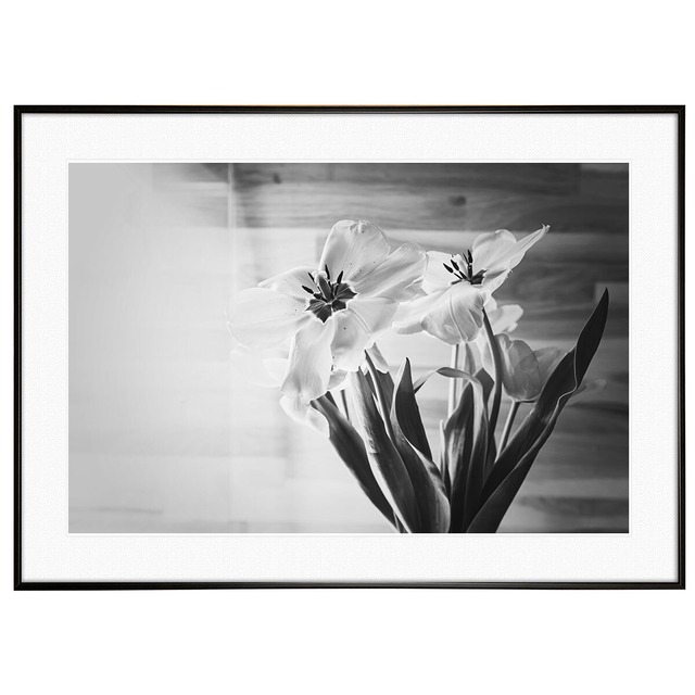 花写真 モノクロ ユリ インテリアアートポスター額装 AS0647