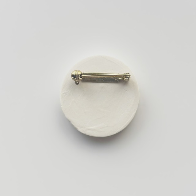 ＃25041 ブローチ／雰囲気の化石　Brooch／Atmospheric Fossil
