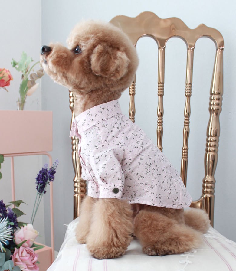 flowerシャツ S ~ 2XL 3color  /  犬服 新作 春夏 ドッグウェア ペット洋服 犬 服 お揃い 可愛い お出かけ