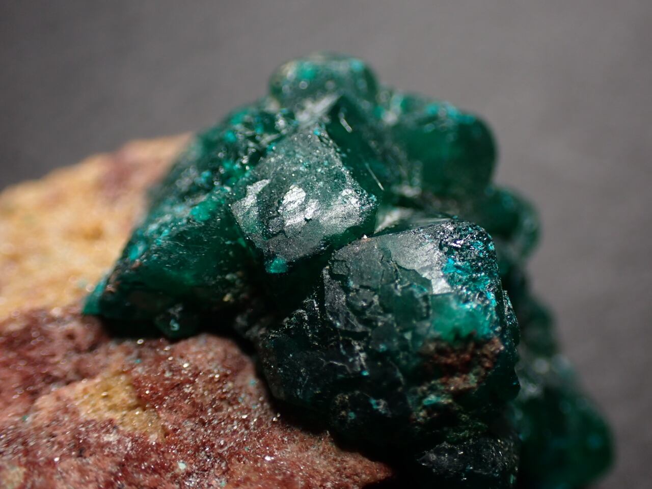 コンゴ共和国産 ダイオプテーズ/Dioptase 原石 A-DPT054 | 鉱物