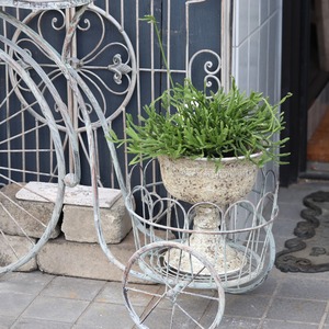 植木鉢　アンシャンカップGY　アンティーク調　シャビーシック　オシャレ　UF563
