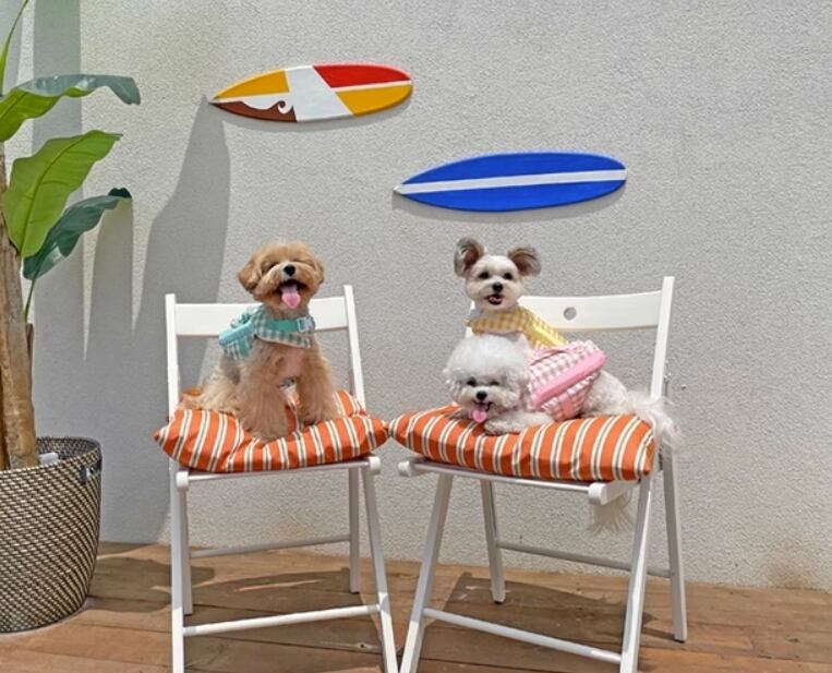 ドッグ 犬 小型犬 エクササイズ ドッグウェア ベスト アウター ライフジャケット ハーネス ストレート ベーシック キャンディー ストラップ かわいい シンプル ラフ スポーティー 個性的 クール 存在感 ラブリー キュート シンプル チェック 格子柄 夏 サマーシーズン 男の子 女の子 成犬 お出かけ アウトドア イベント リゾート 旅行 海 プール 公園 休日 バカンス 散歩 ウォーキング 川 水遊び 夏休み S M L XL イエロー ピンク パステル グリーン