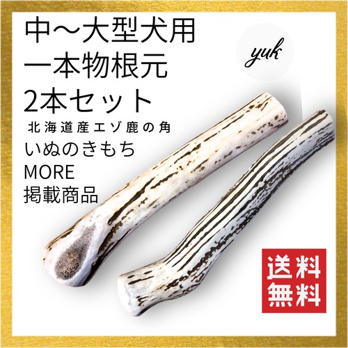 一本物　根元　2本セット　中〜大型犬用　蝦夷鹿のツノ　ワンちゃん用オモチャ　ドッグガム　鹿角