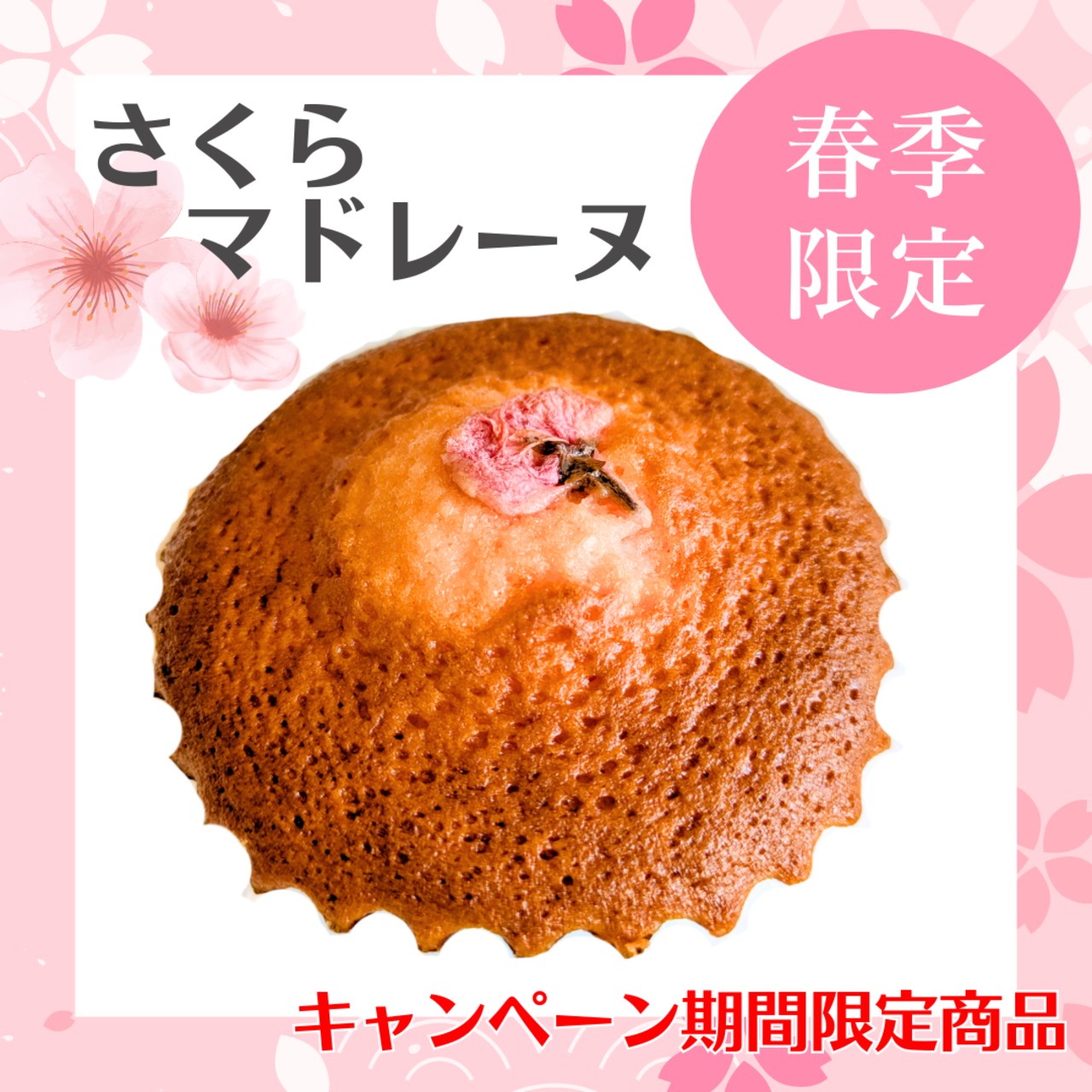 【春季限定】さくらマドレーヌ
