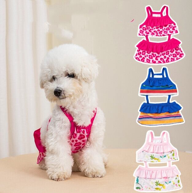 《即納》3102437 ビキニ