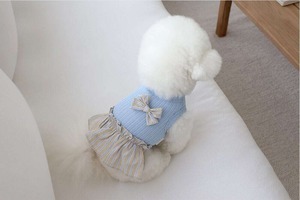 即納 【near by us】Ribbon knit top ベージュブルー 予約販売