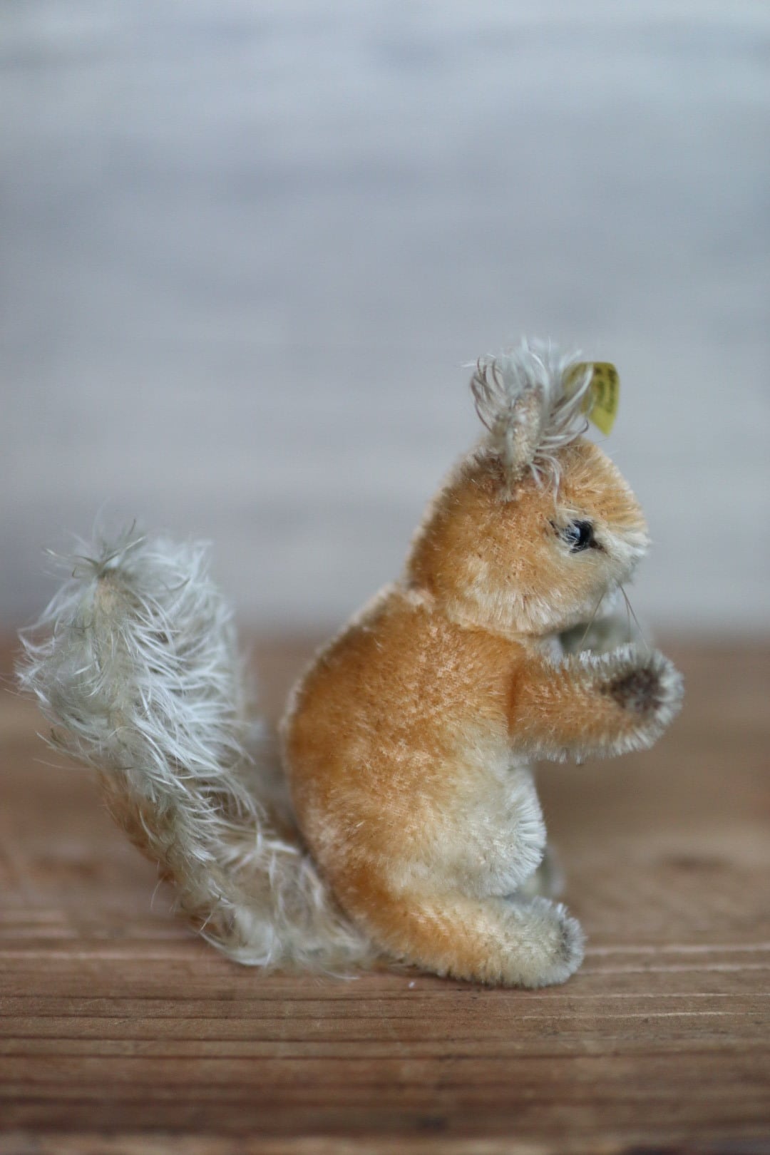 ★シュタイフ★Possy Squirrel 10cm★リスのポッシー/栗鼠★ アンティーク シュタイフ りす Possy | ぷちアンティーク