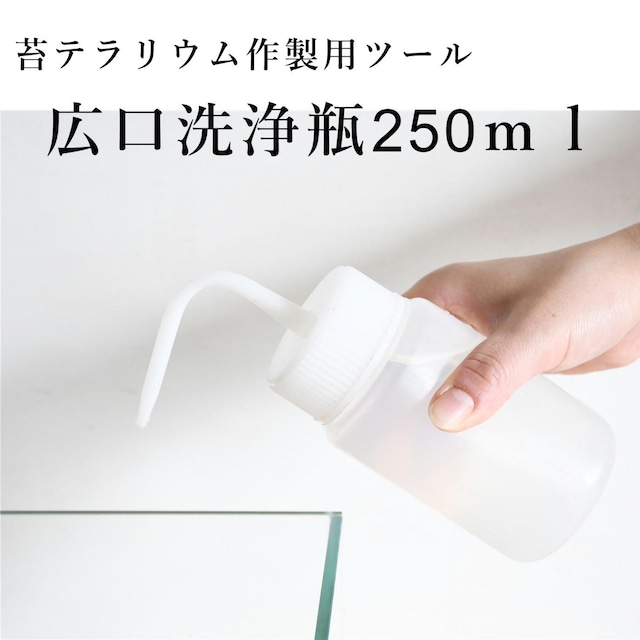 広口洗浄瓶250ｍｌ【水差し】【苔テラリウム作製用ツール】