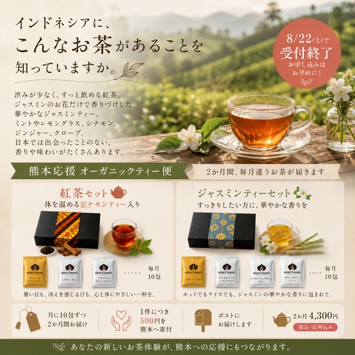 熊本応援　オーガニックティー便