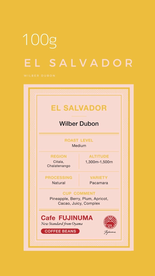 エルサルバドル　Wilber Dubon 100g/ Natural