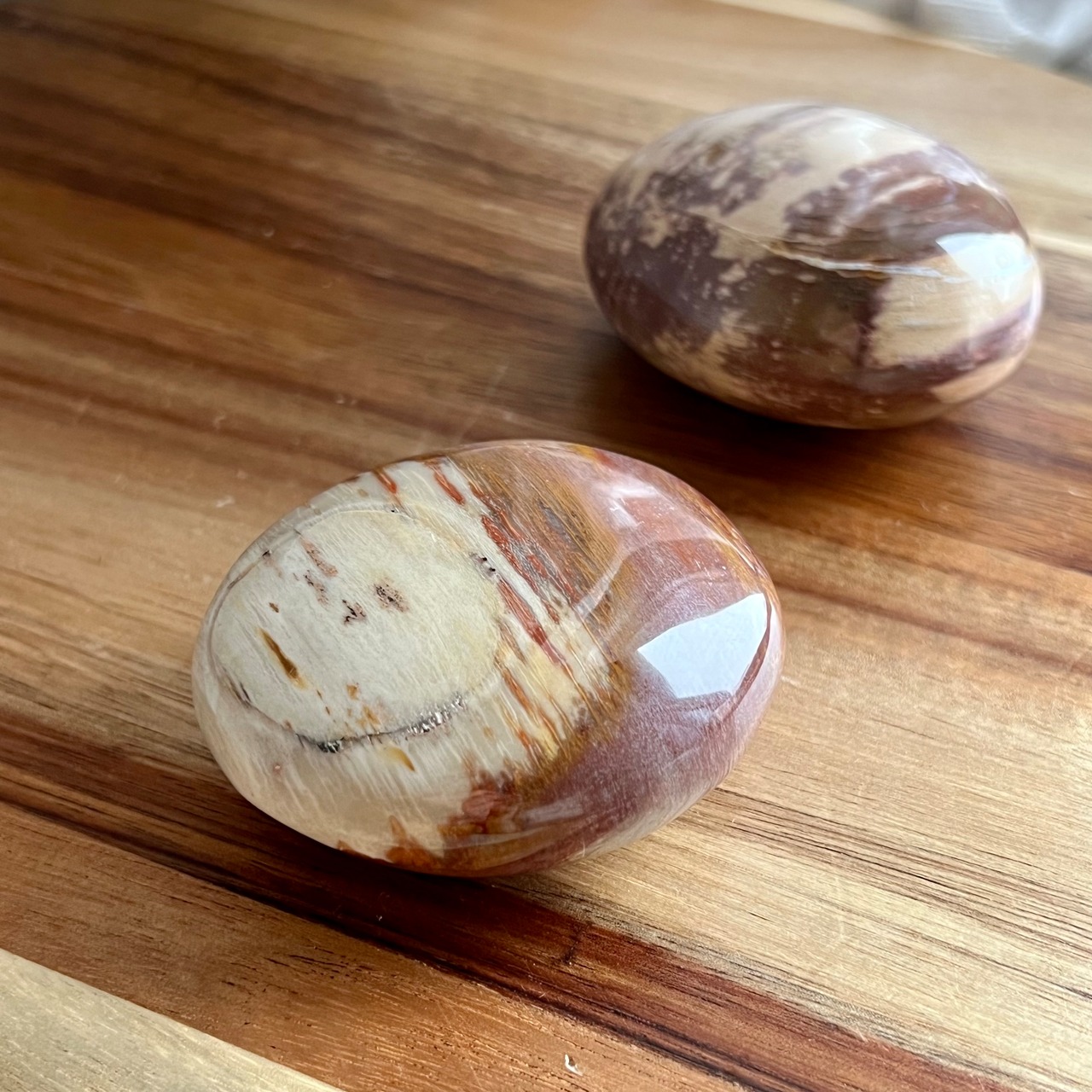 ペトリファイドウッドパームストーン1*天然石パーム*天然石インテリア*置き物