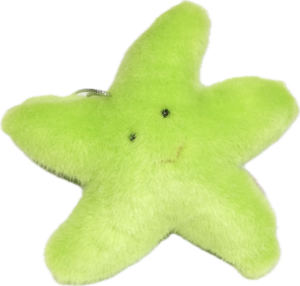 Old Stuffed Toy: Starfish