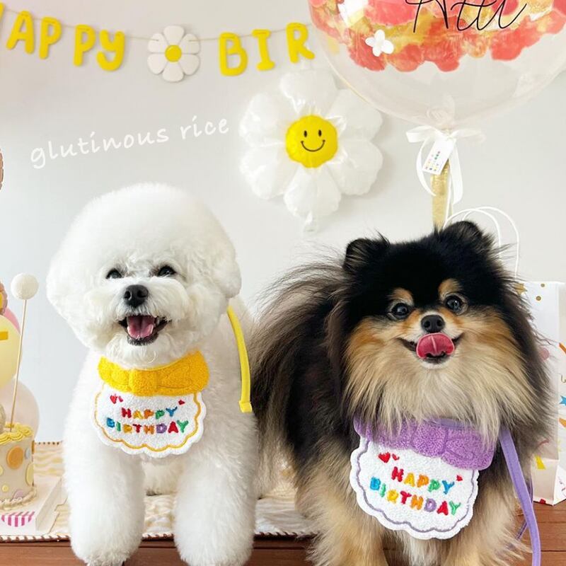 只今入荷待ち！！よだれかけ前掛け　お誕生日Happy Birthday帽子付き バースデーセット 誕生日グッズ ペットグッズ 撮影用 誕生日 スタイ