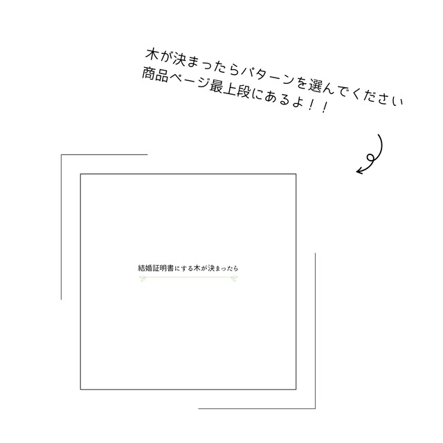 No.573：橅