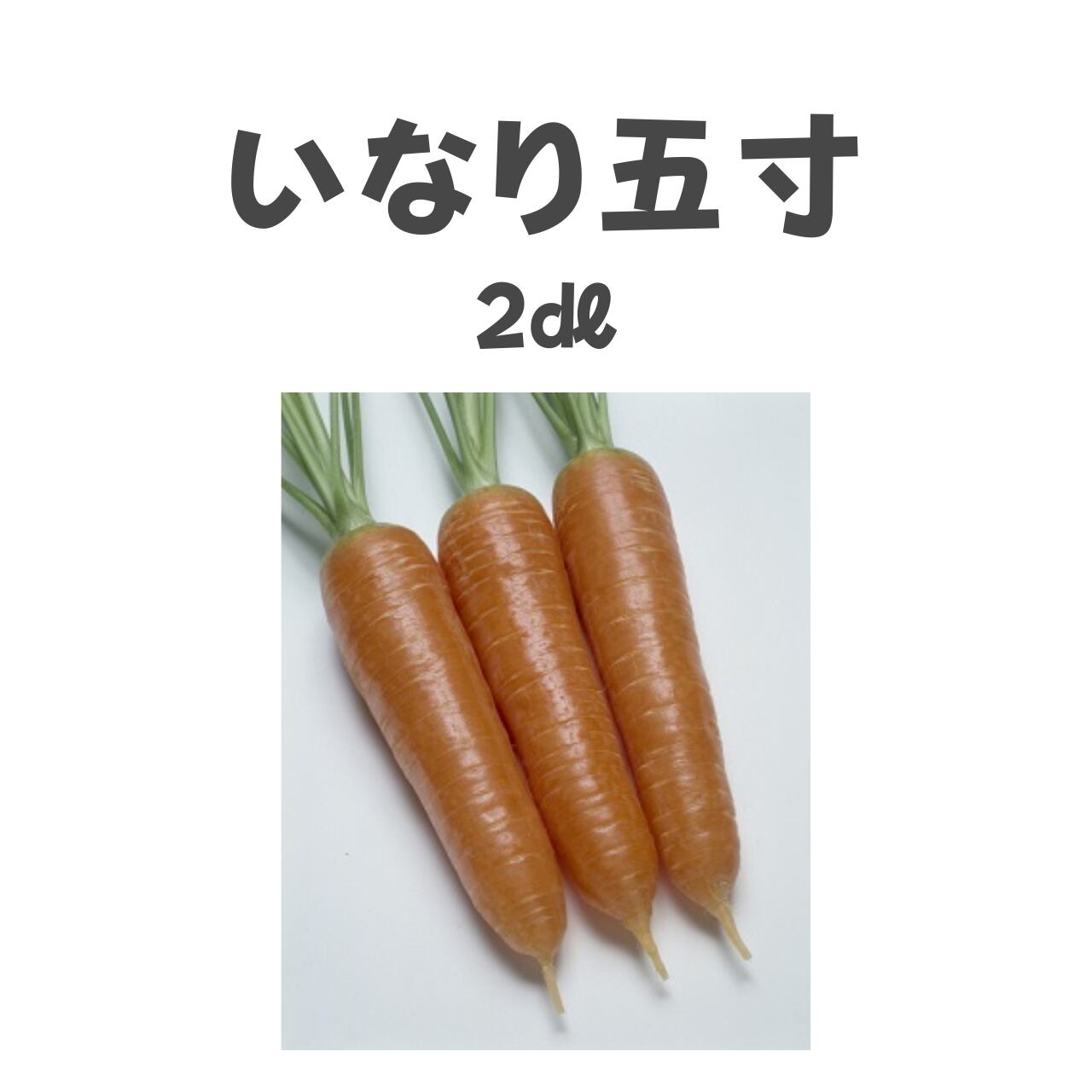 いなり五寸 ニンジン種子・2dl
