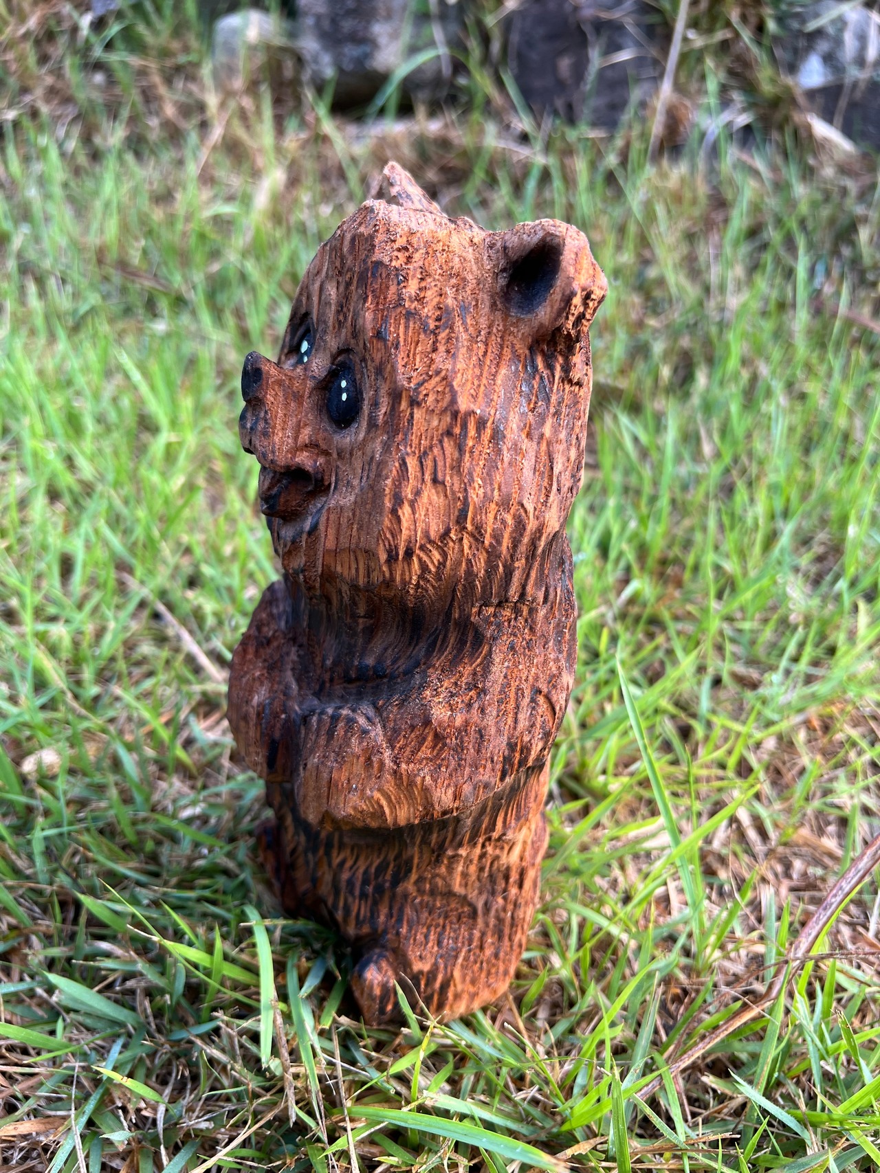 クマさん１１