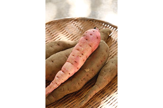 さつまいも・紅赤(栃木県産)・500g