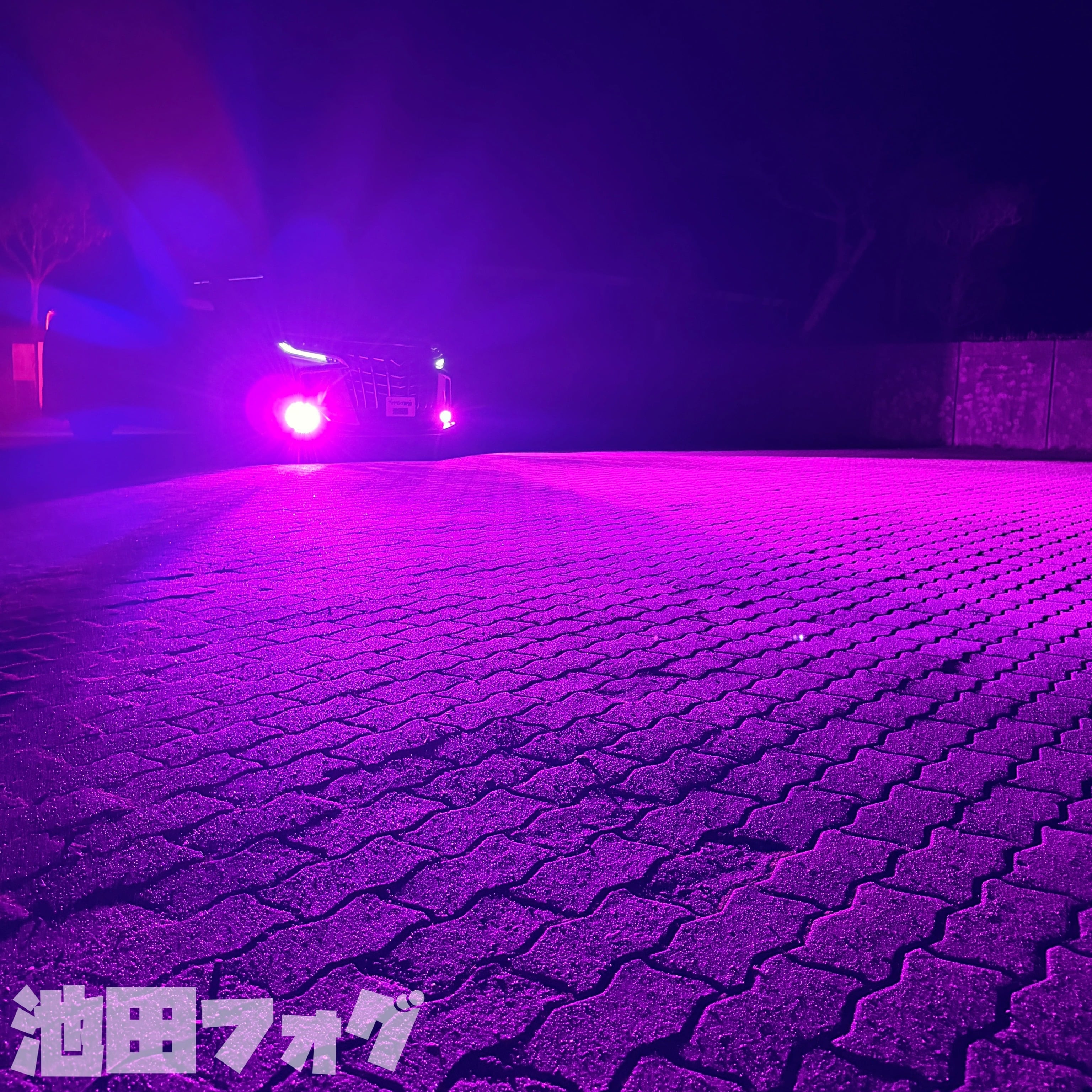 超爆光！H3用 24V対応 パープルピンクフォグランプ！当店限定色！トラックにも 超爆光 パープルピンク フォグランプ 実測14000lm越え H8/H11/H16 HB4
