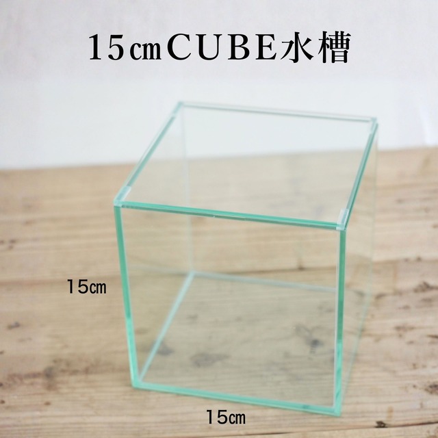 【ガラス容器】150㎝CUBE水槽（15×15×高さ15㎝）