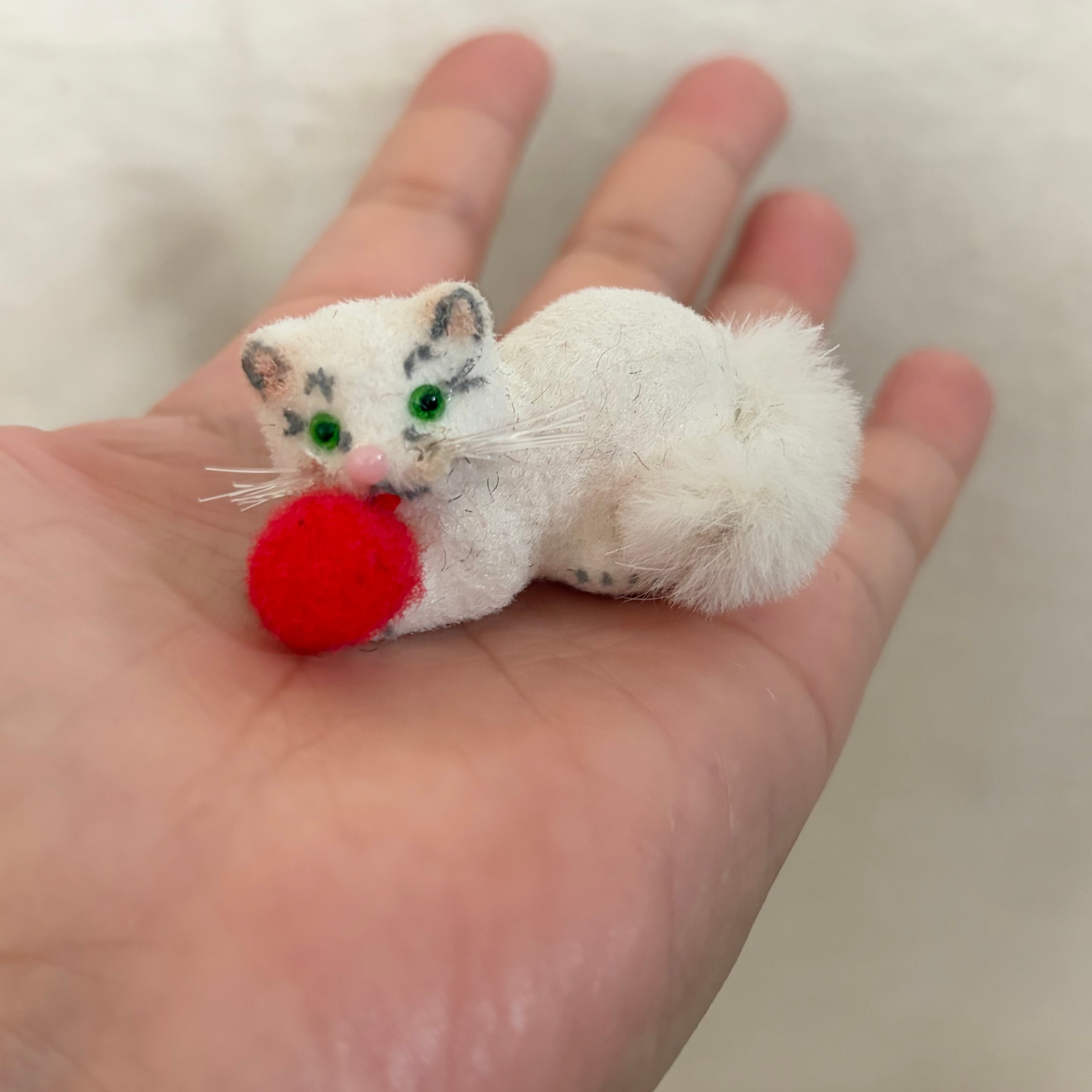 ワグナーのミニ白猫