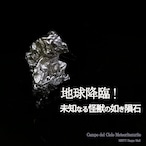 地球降臨!「未知なる怪獣の如き隕石」カンポ・デル・シエロ隕石 No.3 リーディングストーン 1点限定