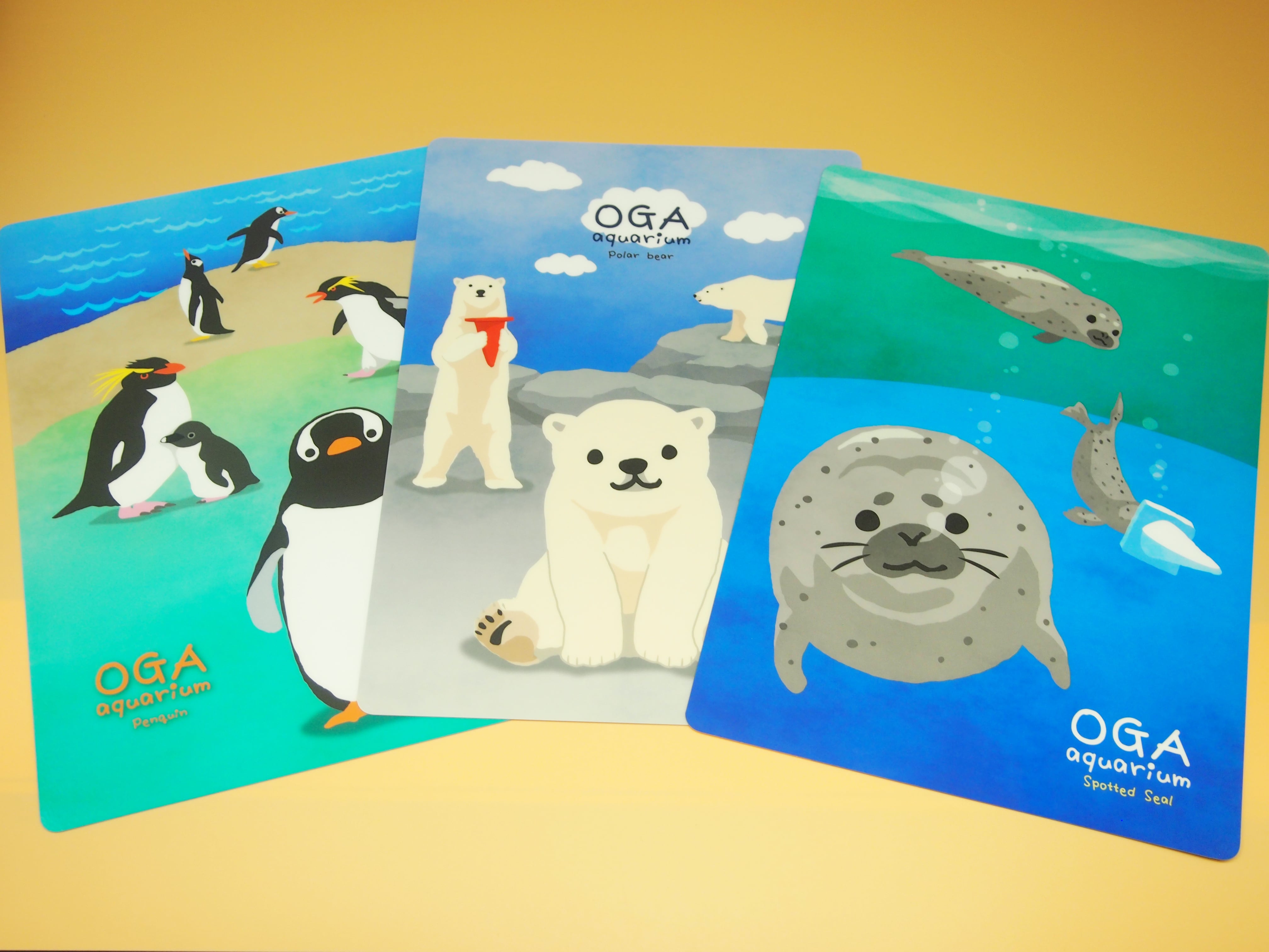 下敷き | 男鹿水族館GAO Online Shop