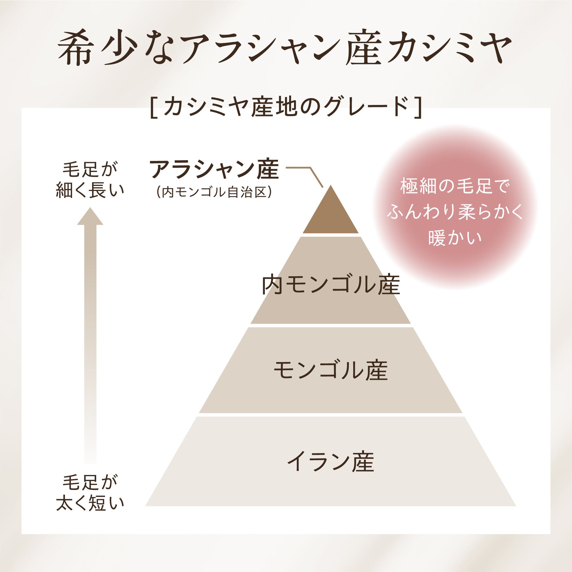 Elensia】カシミヤ100％マフラー <ブラック> | Elensia (エレンシア