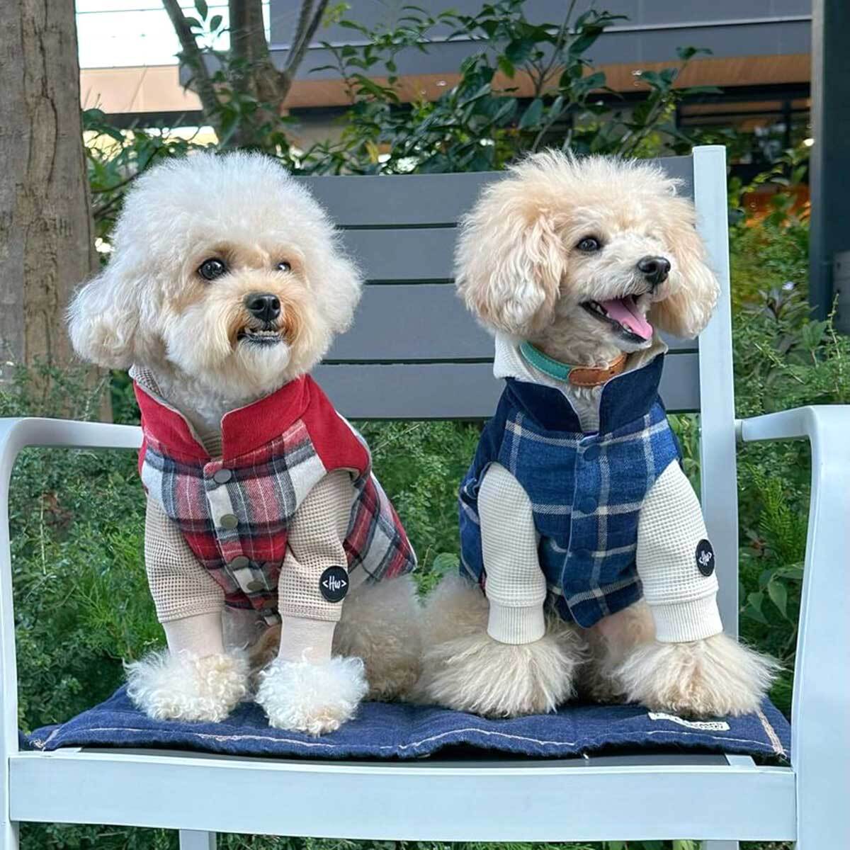 犬の服☆フワフワ気持ち良いワッフルニットのパーカーは良く伸びるので