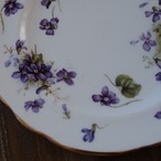 B_Hammersley Victorian Violets|ハマースレイ ヴィクトリアンバイオレット 優雅なすみれ柄 トリオ カップ&ソーサー thumbnail 19
