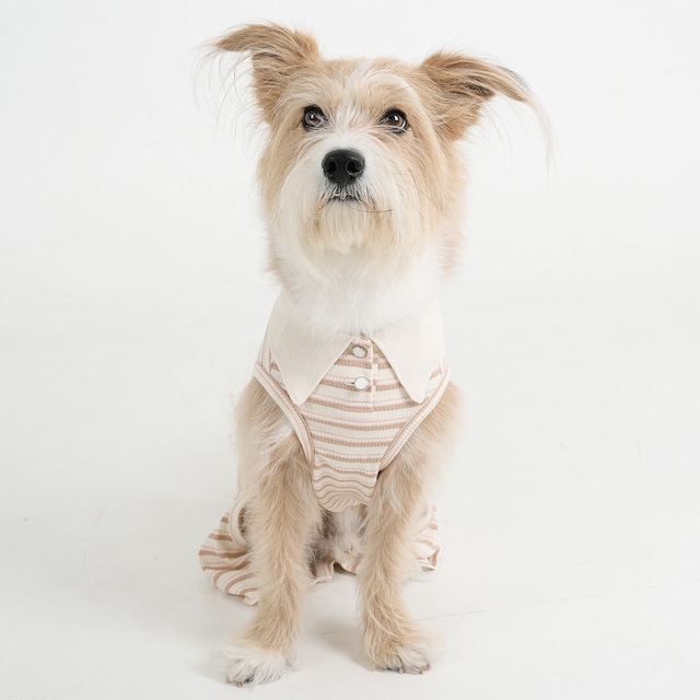 脚を締め付けないラッパパンツ - (BLACK)