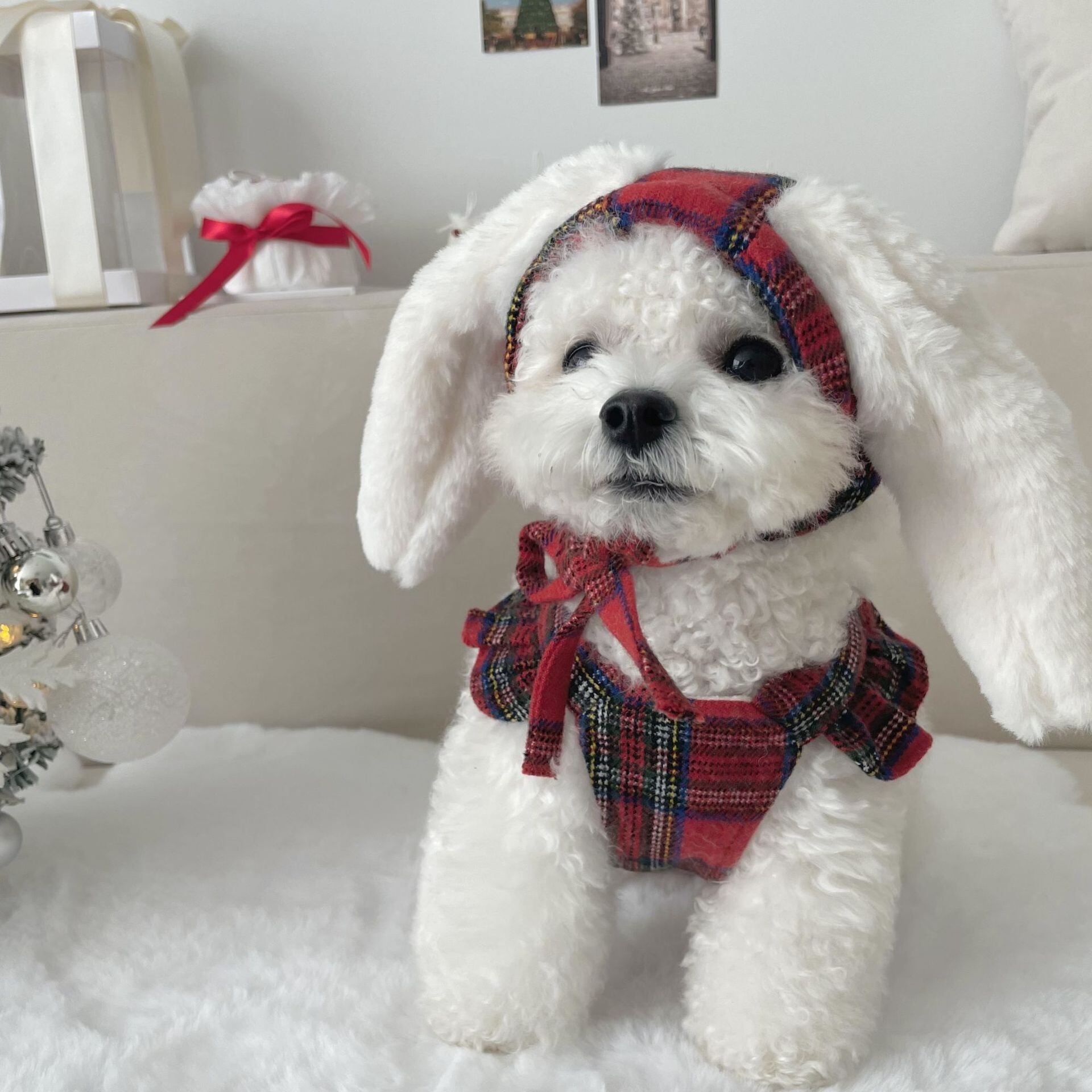 Pet クリスマスチェック柄ペット服 ウサギミミ帽子付き Koretty21