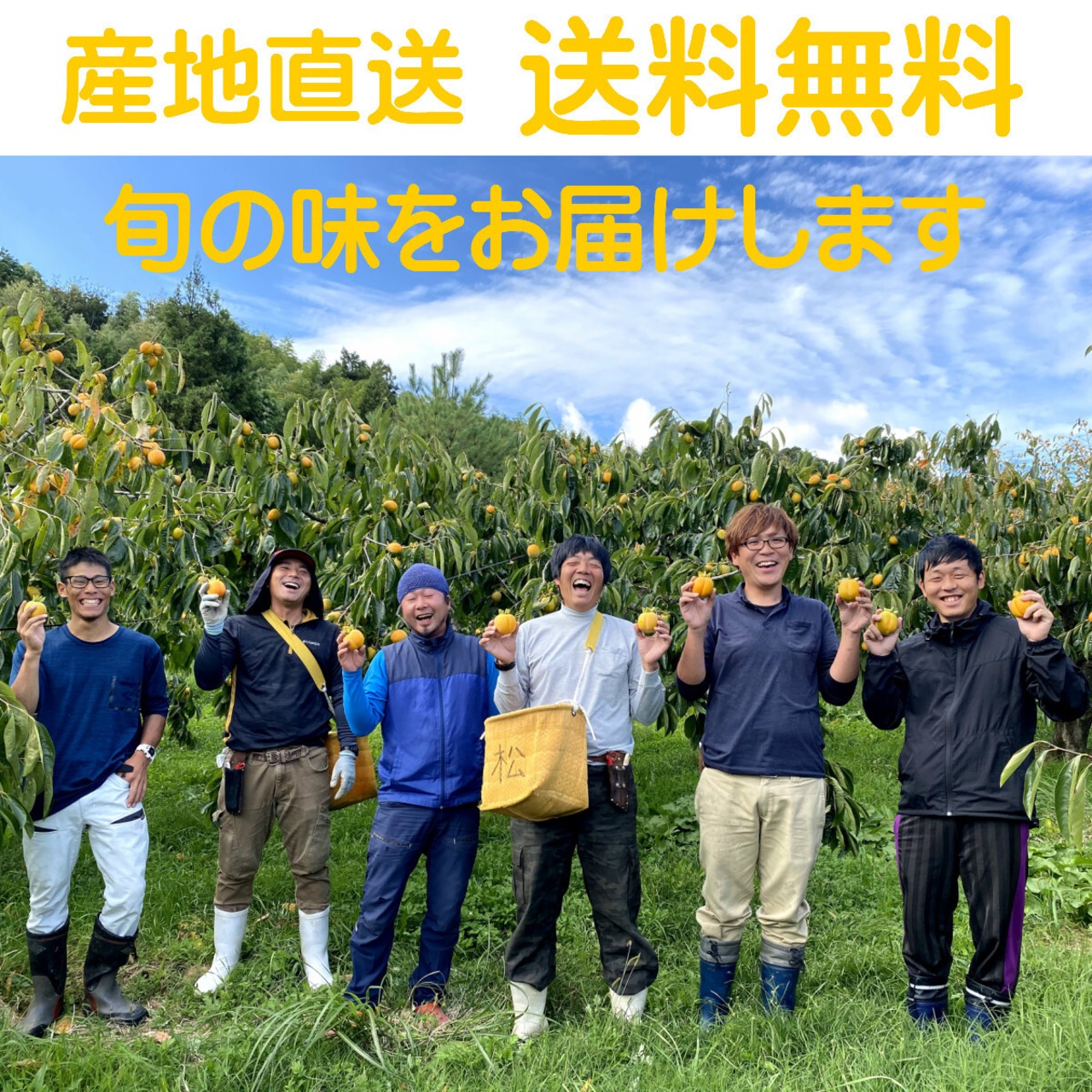 【2025年産】【11月発送】吊るし柿用西条柿 3L 36玉（7.5ｋｇ） 吊るし紐付